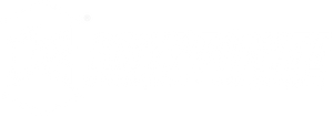 Kryptonite Products
